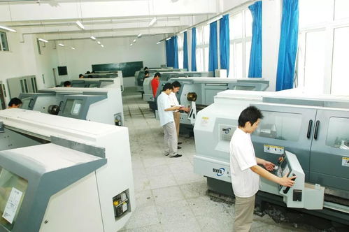 技藝雙全，大機械閃耀未來